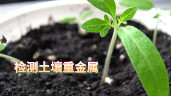 實(shí)驗(yàn)室土壤重金屬檢測全流程