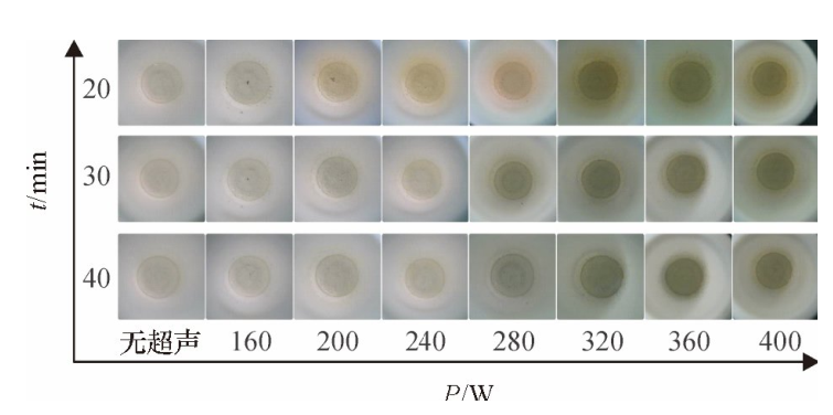 圖5不同密閉消解時間、不同超聲功率的消解效果