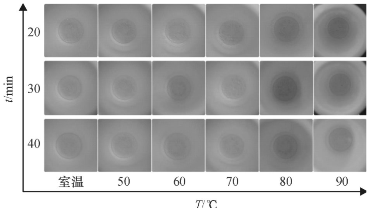圖6不同密閉消解時間、不同水浴溫度的消解效果